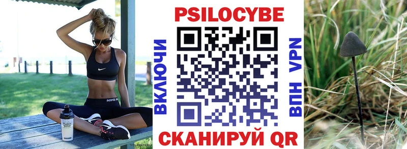 Галлюциногенные грибы Psilocybe  Купино 