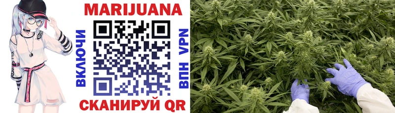 Канабис LSD WEED  дарнет шоп  Купино 